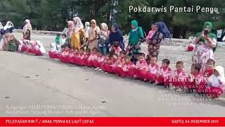 Pelepasan Anak Penyu Pokdarwis Pantai Penyu