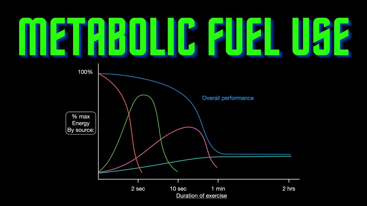 USMLE Step 1 Lesson 72 Metabolic Fuel Use YouTube