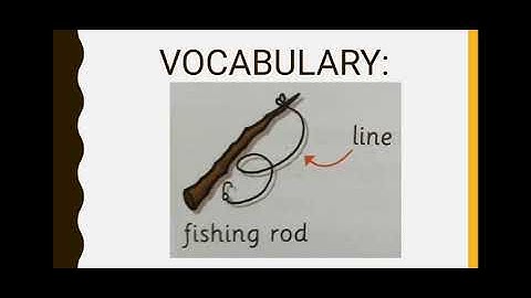 Year Unit 4: The Wishing Fish page 46-47 Get Smart Plus