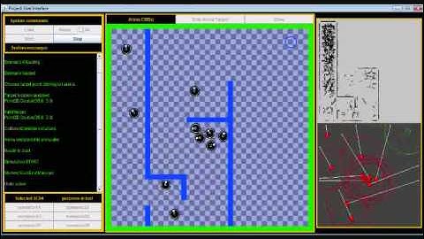 Robot Swarm driven by Particle Swarm Optimization algorithm