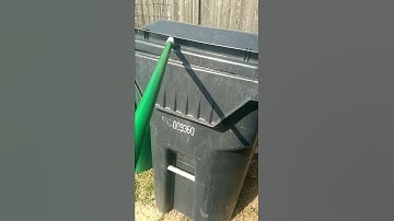 Crazy squirrel knocks to get out of trash can