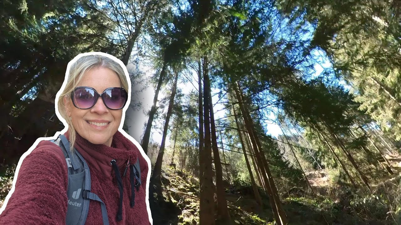 Maaßner Gaipel (HWN107) & Grumbacher Teich (HWN113) || Harz