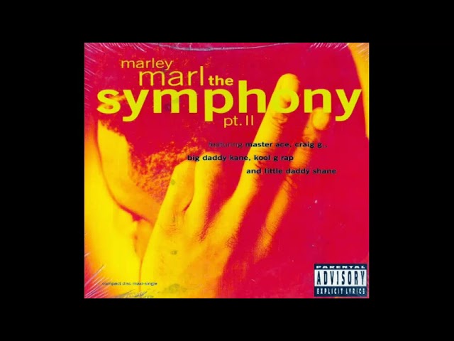 Marley Marl / The Symphony Part II 12インチ The Symphony, Part II - song and lyrics by Marley Marl, Big Daddy
