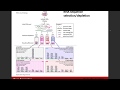 Gene Expression (RNA-Seq)