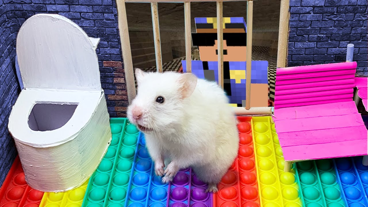 🐹 Hamster Escapes the Awesome Prison Maze 🐹 Hamster Story