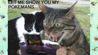 LET ME SHOW YOU MY POKEMANS