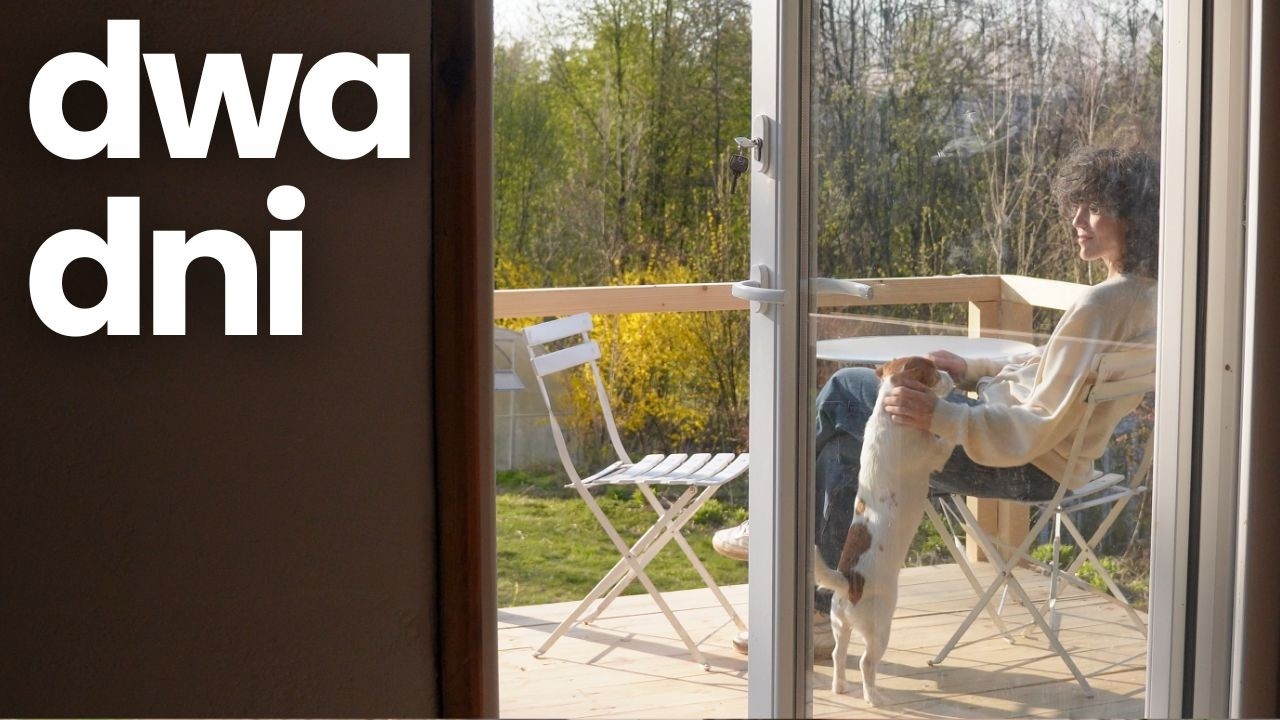 Dwa ładne dni, czyli bardzo chaotyczny odcinek wiosenny | Ptasie radio | Kotki