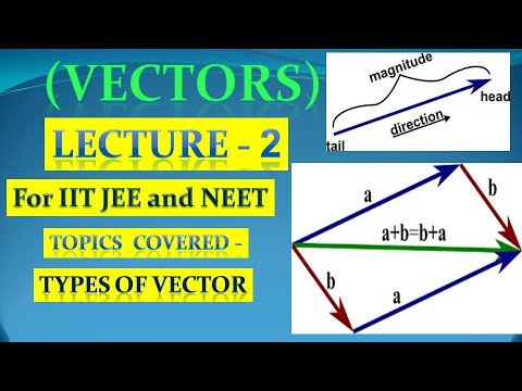 Vector (Lecture 2) |Types of Vectors | Physics | IIT JEE and NEET