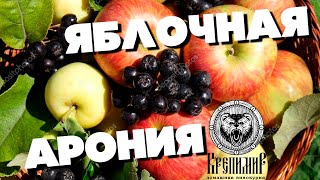 ЯБЛОЧНАЯ АРОНИЯ ОТ ЛУЧШЕГО ВИНОКУРА  С ФЕСТИВАЛЯ В ТОЛЬЯТТИ И САМАРЕ