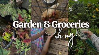 Morning garden tour and grocery haul