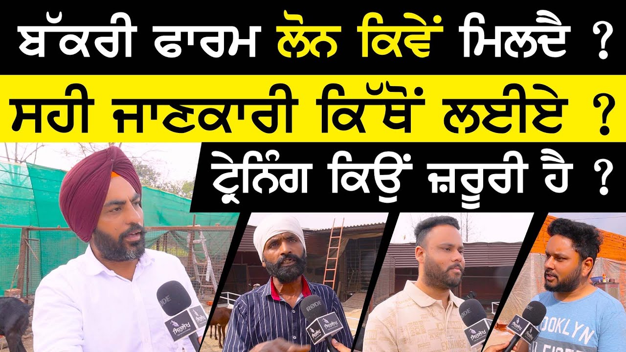 ਬੱਕਰੀ ਫਾਰਮ ਲੋਨ ਕਿਵੇਂ ਮਿਲਦੈ ? | Goat farm loan | Bakri farm loan subsidy | Sirlekh