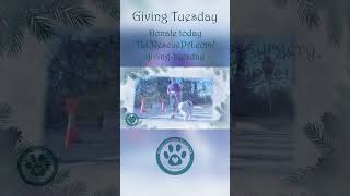 Giving Tuesday 2024