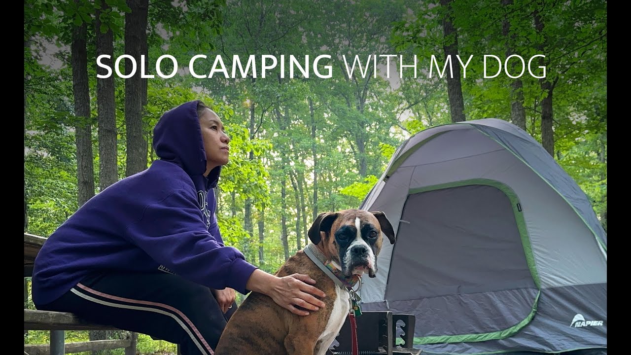SOLO CAMPING with my Dog [ Relaxing in a Tent Shelter, ASMR, Fire, Cooking, Wildlife, Tesla, Cozy ]