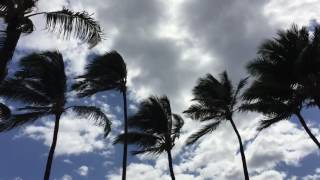 30 Seconds of Peaceful Beach Sounds