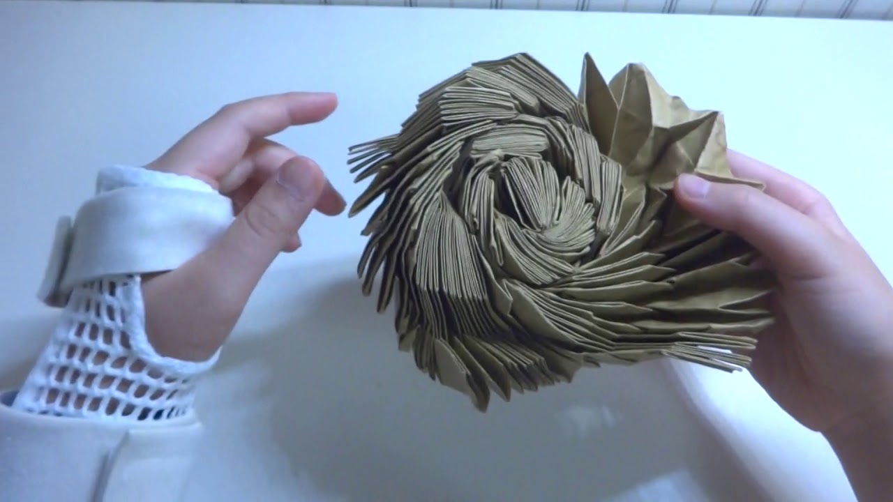 Origami flasher big bang by Jeremy Shafer(demo) YouTube