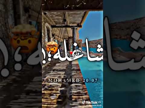 اغنية عود فرنسي عربي مع جمال الامريكان