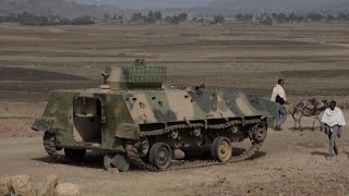 Amnesty International demands urgent help for survivors of sexual violence in Tigray • FRANCE 24