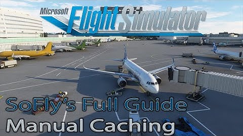 MSFS 2020 | Pay Guide | Manual Cache