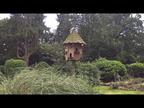 White Doves flying to Dovecote