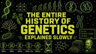 The Entire History Of Genetics Explained Slowly (For Sleep)