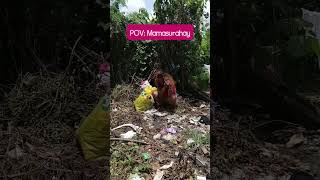 magura na mn ka dae