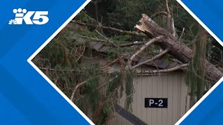 High winds pummel PNW as power agency job cuts worry local leaders