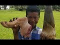 Cooking Pork Leg with Bamboo Shoot / Eating Pork Leg