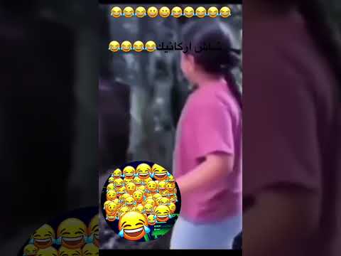 شاش ارگانيك