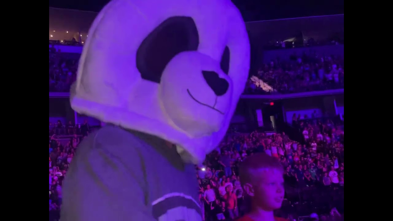 Dude, perfect tour Flynn Panda Jumbotron￼