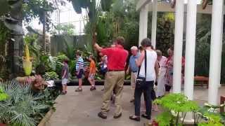 Stinky Corpse Flower blooms in Belmont, NC