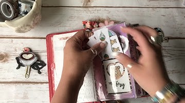 Foxy Fix Setup - May 2017