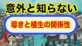 Mhw プーギーvs受付嬢 お食事券争奪戦 記録 12 Youtube