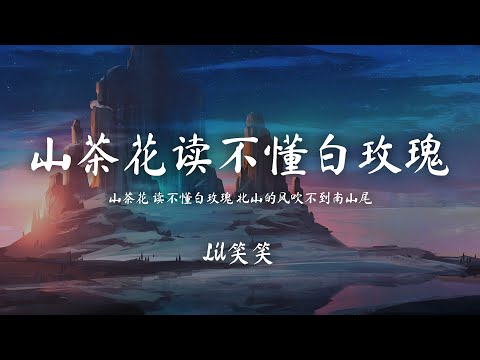 Lil笑笑 - 山茶花讀不懂白玫瑰【山茶花 讀不懂白玫瑰 北山的風吹不到南山尾【動態歌詞/PinyinLyrics】