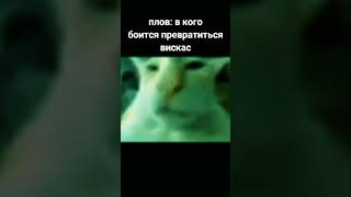 плов: в кого боится превратиться вискас #мемы #memes #рек #shorts