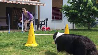 Sonic Grab To Weaves, Handler Behind, Dog On Entry Side Correct Leg 12