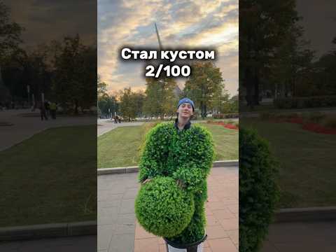 Пранк стал кустом😁 Автор: i_am_slivik