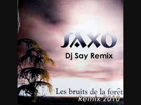Saxo — Saxo - Les Bruits de la Foret 2010 (Dj Say Remix)