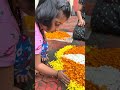 എന്റെ അത്തപൂക്കളം 🌼 #onam #onapookalam #family #kerala #traditional #festivalofflowers #ponnonam