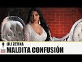 LILI ZETINA - MALDITA CONFUSIÓN [ VIDEO OFICIAL ] MORENA MUSIC