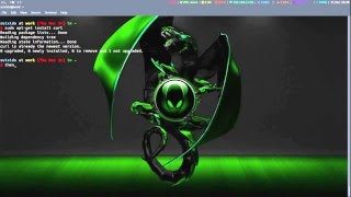 Install Glances, Alsamixer, Ranger, rtv, Torrentflix and mplayer | Lincoder