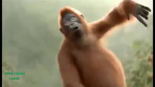 I like move it move it 