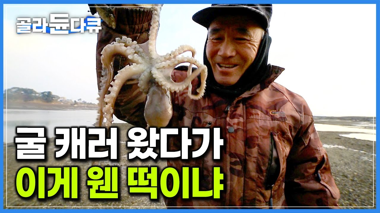 ‘이게 진짜 맛있는건데’ 굴 캐러 왔다가 귀한 겨울 낙지 잡는 재미에 푹 빠진 남자｜바다에 기대어 살아가는 부부｜태안 안면도 천수만 갯벌｜한국기행｜#골라듄다큐