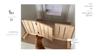강아지 울타리 주문제작 과정  가구공방 디어마이우드Dog fence custom manufacturing process