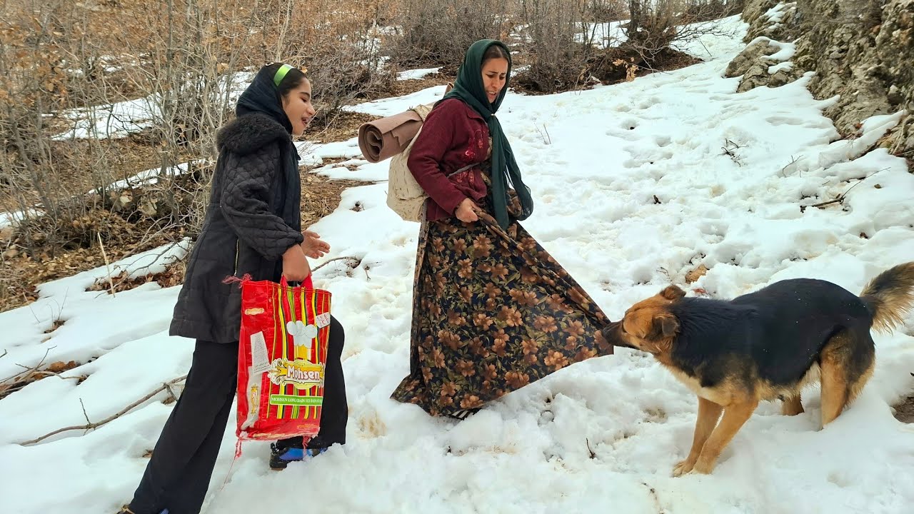 Мать, дочь и их собака приносят надежду и радость среди заснеженных гор.