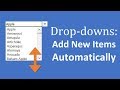 How to Add New Items to Excel Drop-down Lists Automatically
