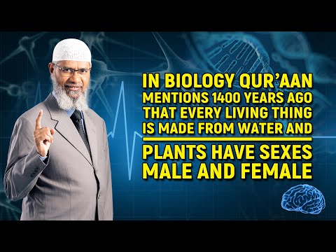 Quran Mentions that Every Living Thing is Made from Water and Plants have Sexes Male and Female