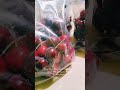 Picked cherries/ nce ntaiv de txiv cherries