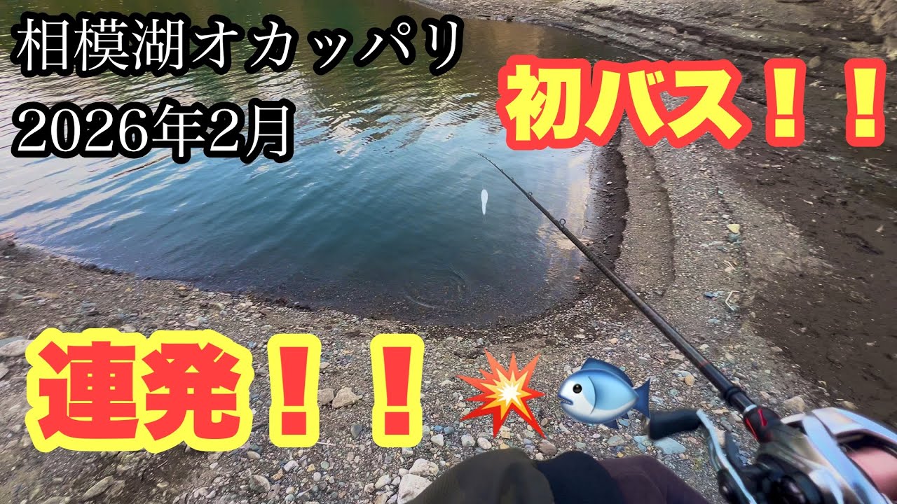 【相模湖オカッパリ】2026年初バスゲット‼️しかも連発‼️🐟【バス釣り】【ブラックバス】【バスフィッシング 】【サイコロラバー】【クランキーダーター】