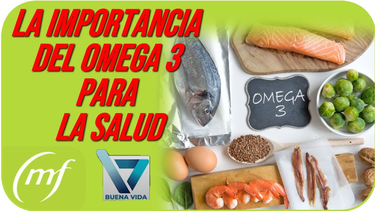 La Importancia del Omega 3 para la salud YouTube