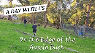 A DAY IN THE LIFE on the Bush Edge Homestead in Australia